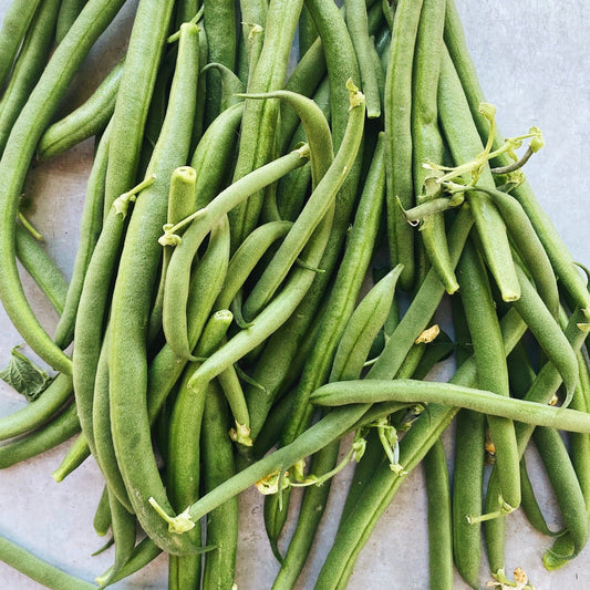 1LB Pack BC Grown Green Beans