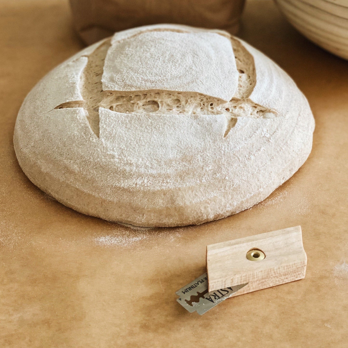 Organic Whole Grain Marquis Wheat Flour