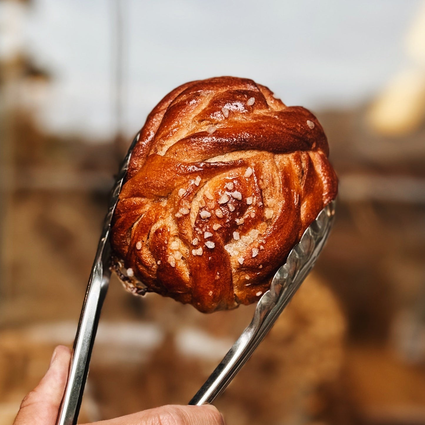 Cardamom Bun