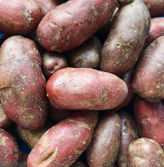 1 LB North Arm Farm Red Fingerling Potatoes