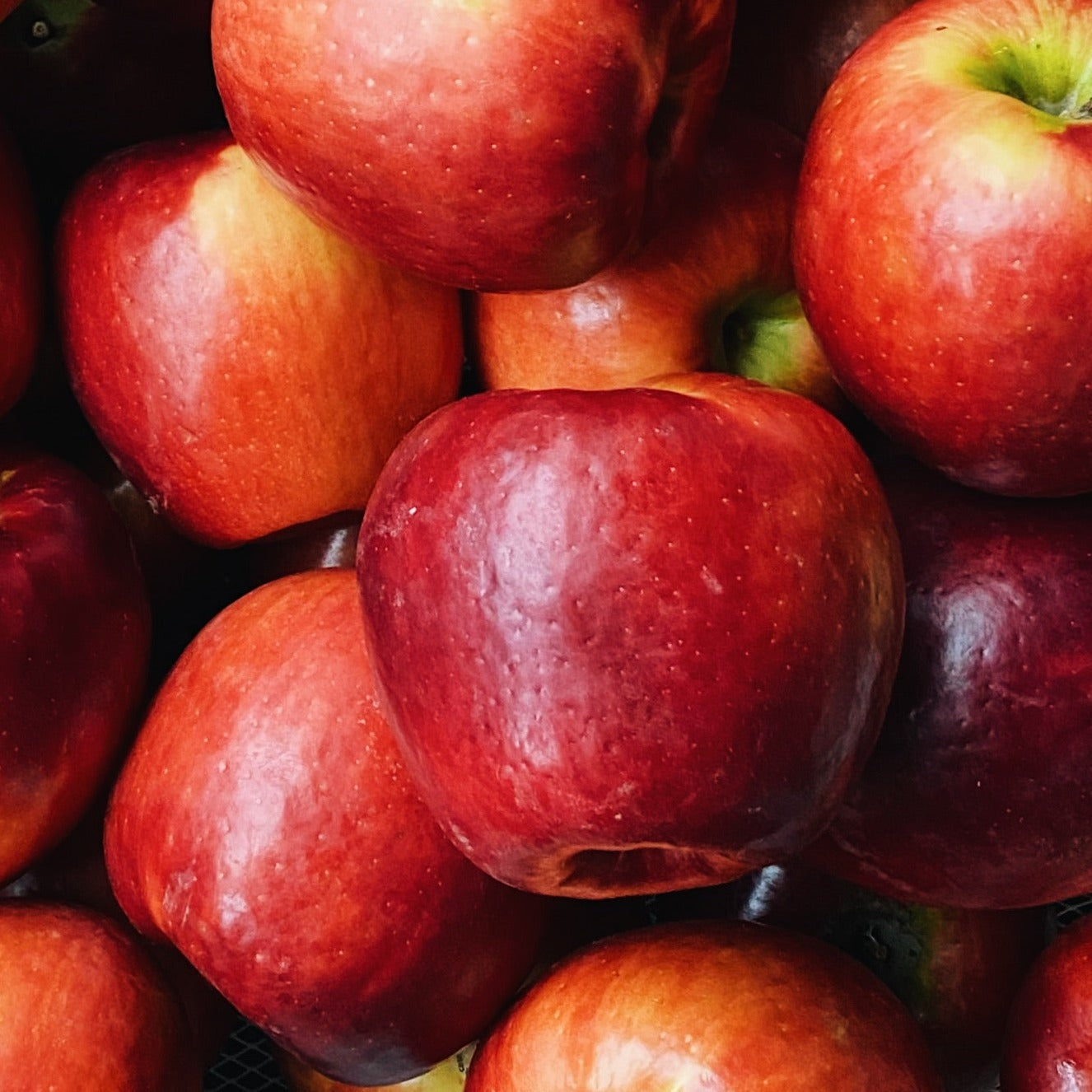 4 Pack 'Cosmic Crisp' Apples