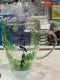 New Glass Double Wall Glass Drink Mug 350ML With Handle Heat Resistant Tea Cup Original Quality Mug