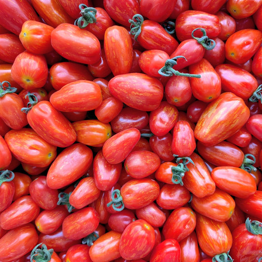 Athiana Acres Red Supernova Cherry Tomatoes