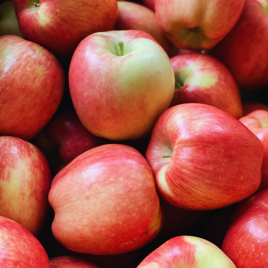 2 Pack Organic Ambrosia Apples