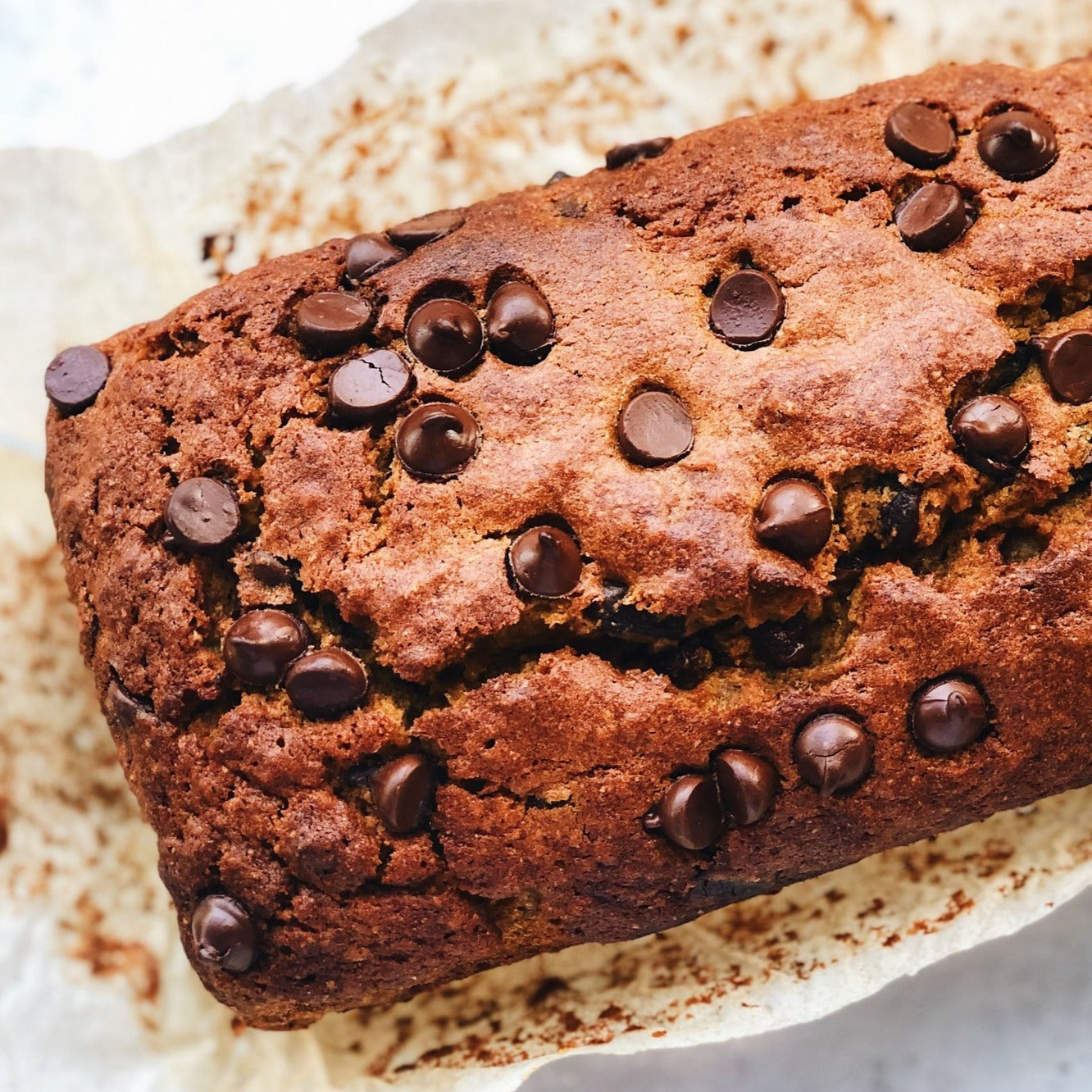 Organic Whole Grain Red Fife Flour