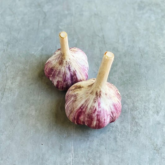 Local Harvest Red Russian Garlic