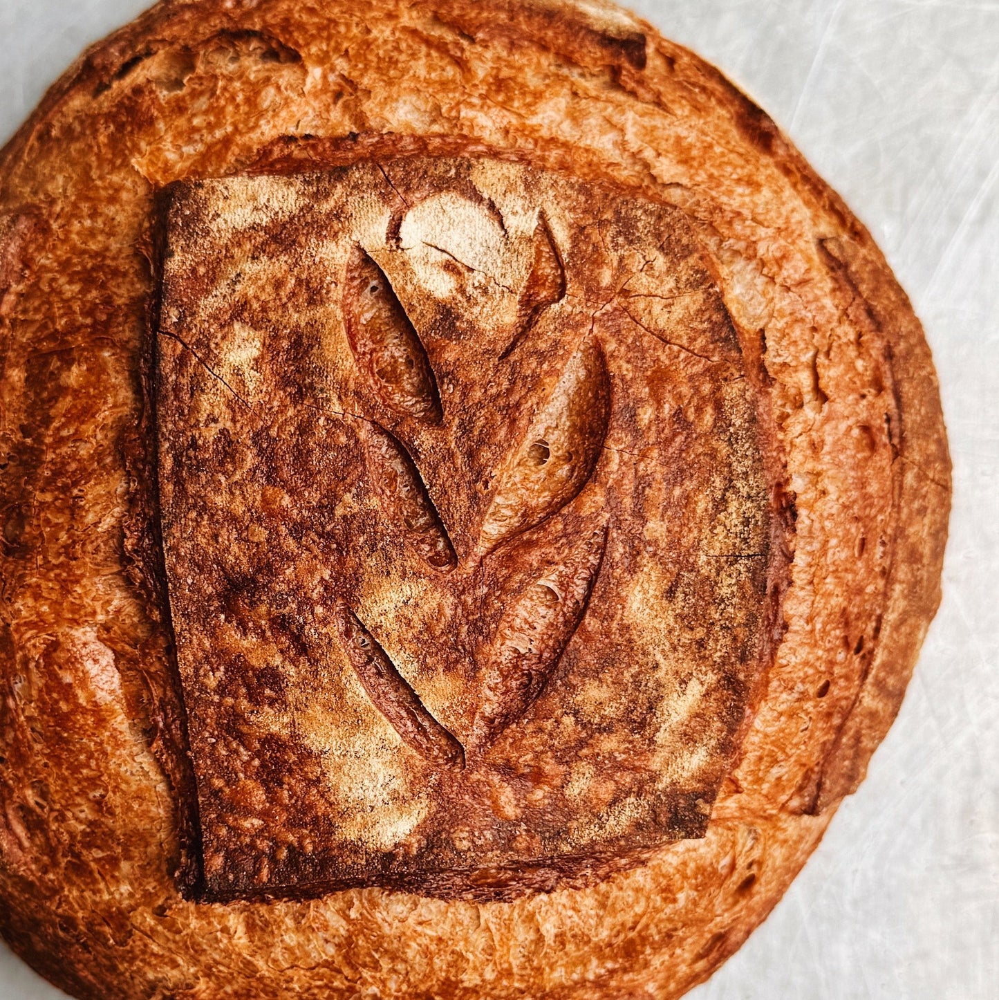 Sourdough Boule
