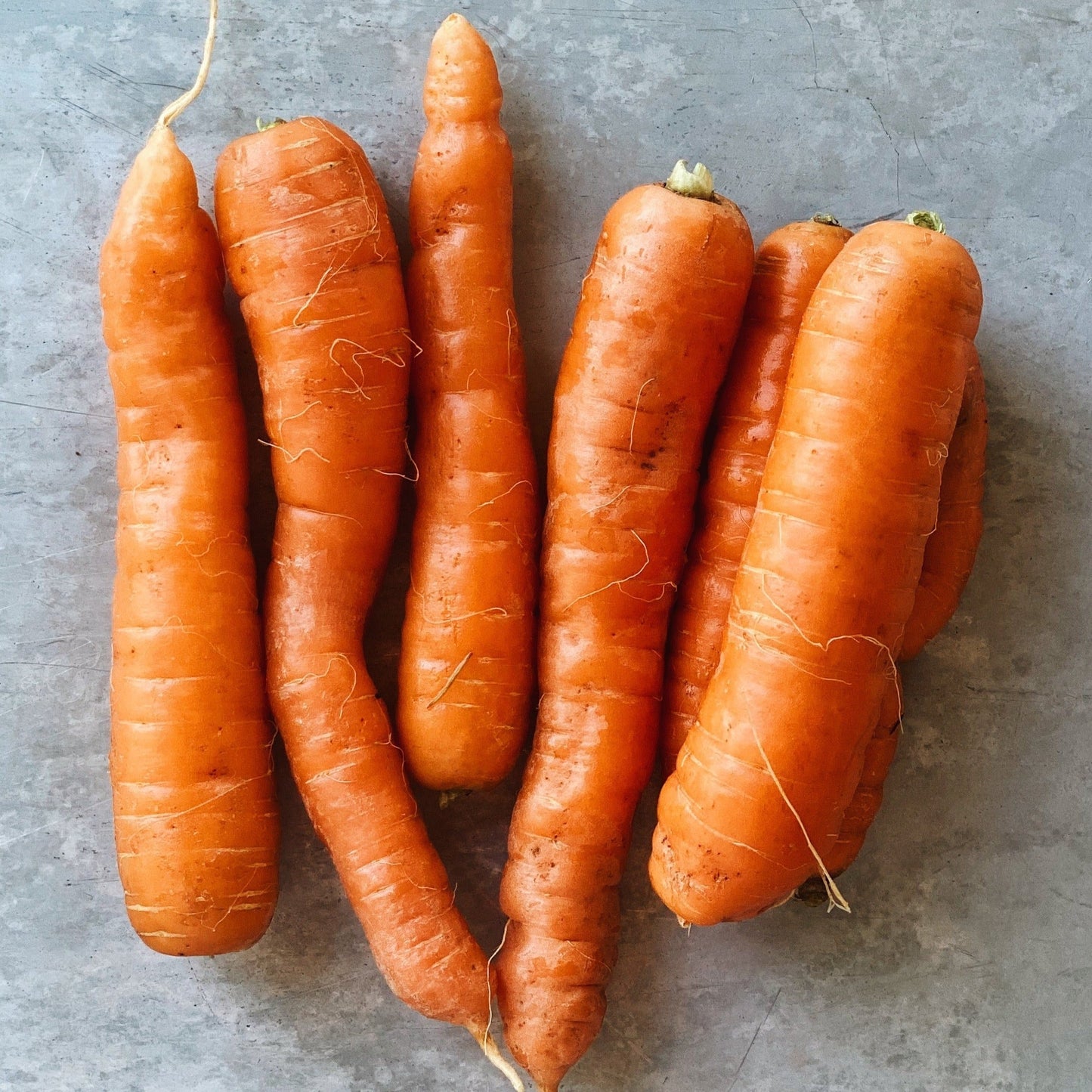 UBC Farm Organic BC Grown Carrots
