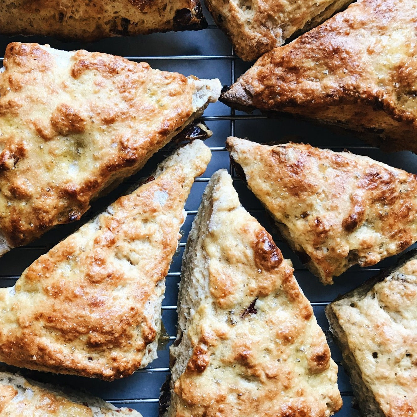 Organic Whole Grain Spelt Flour