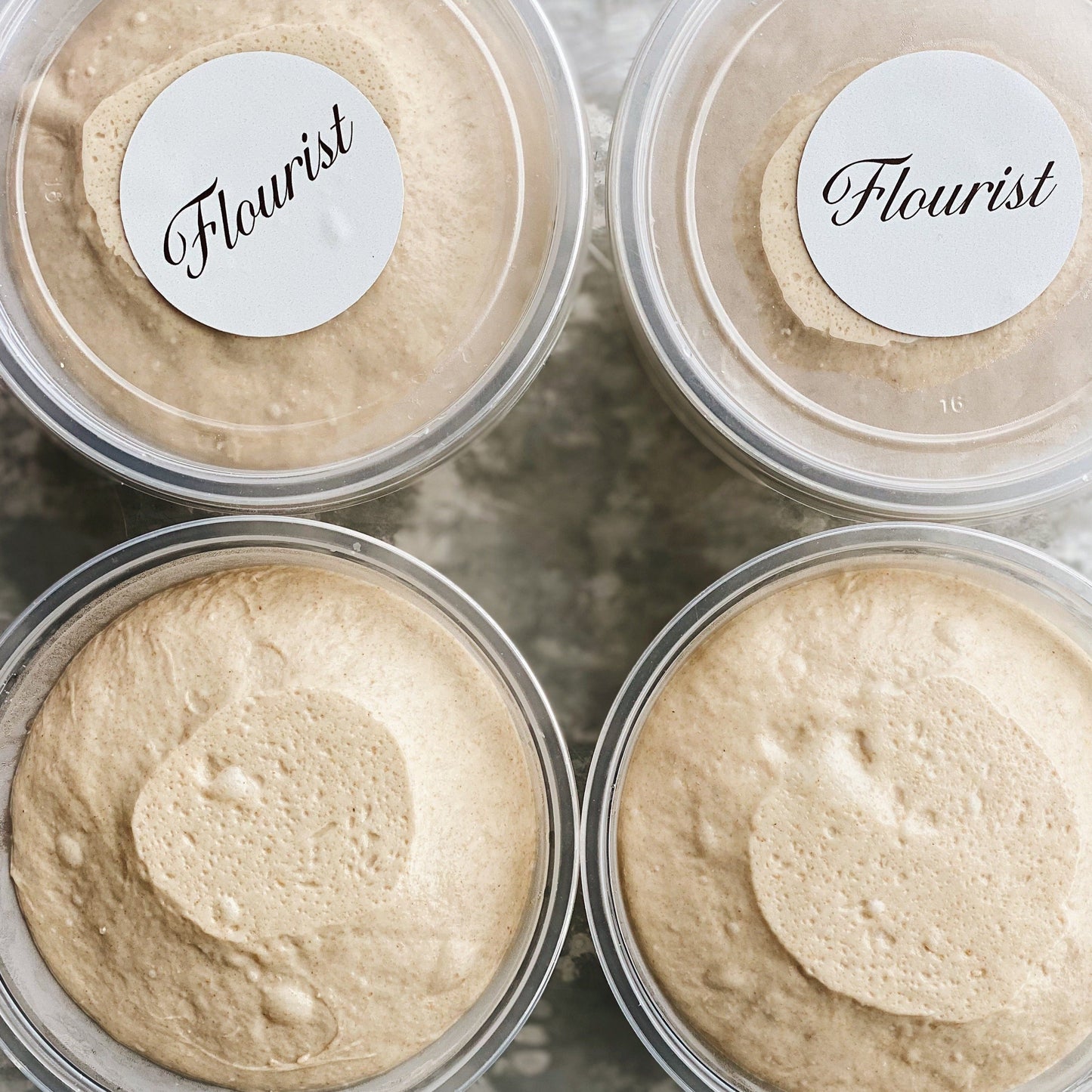 Pizza Dough