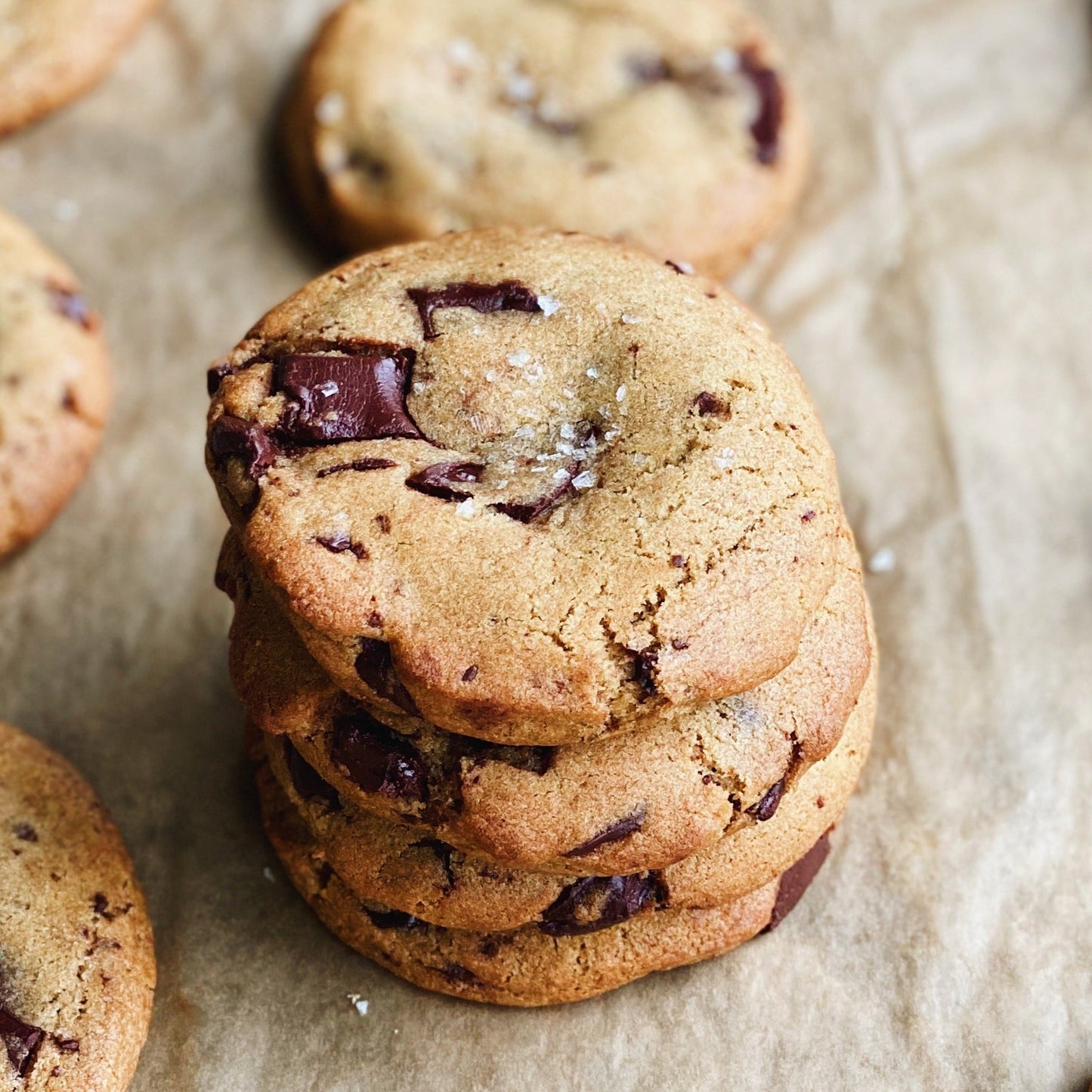 Best Ever Chocolate Chip Cookie