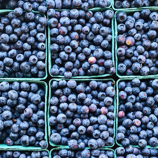 North Arm Farm Blueberries