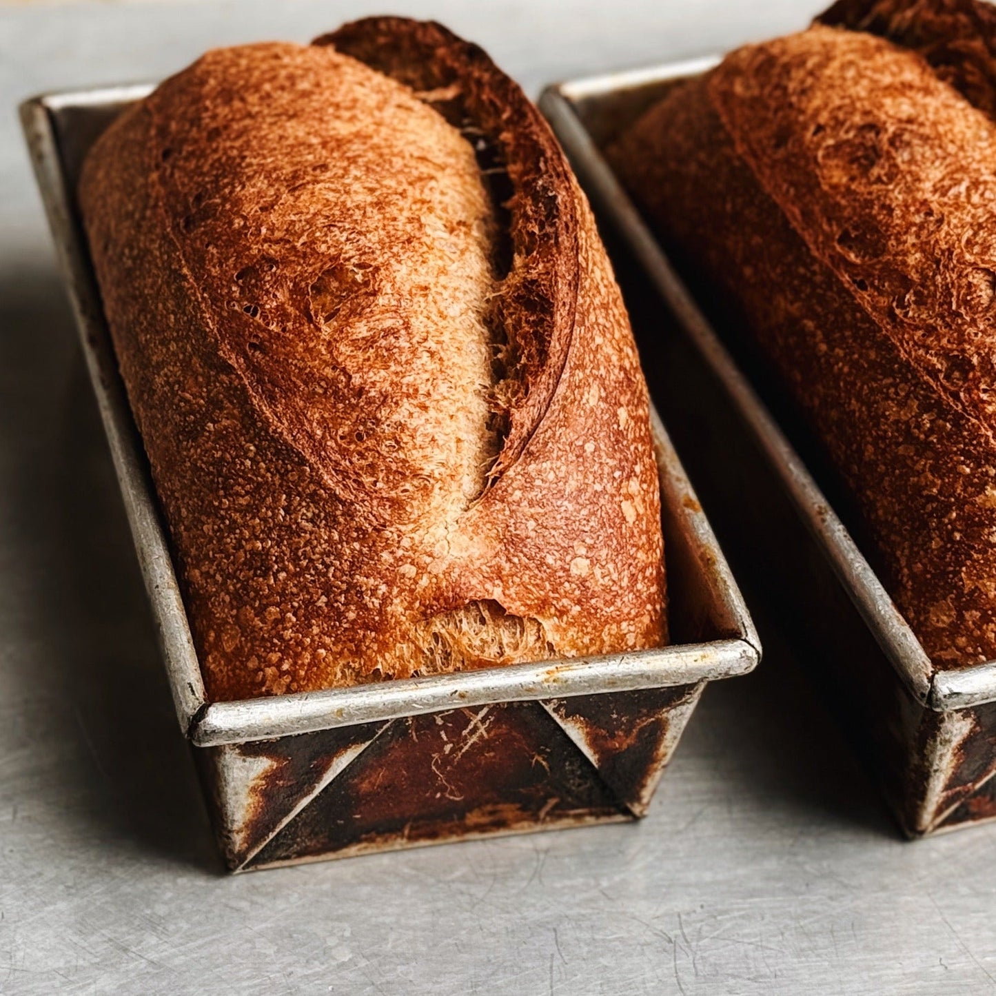 Sourdough Pan Loaf