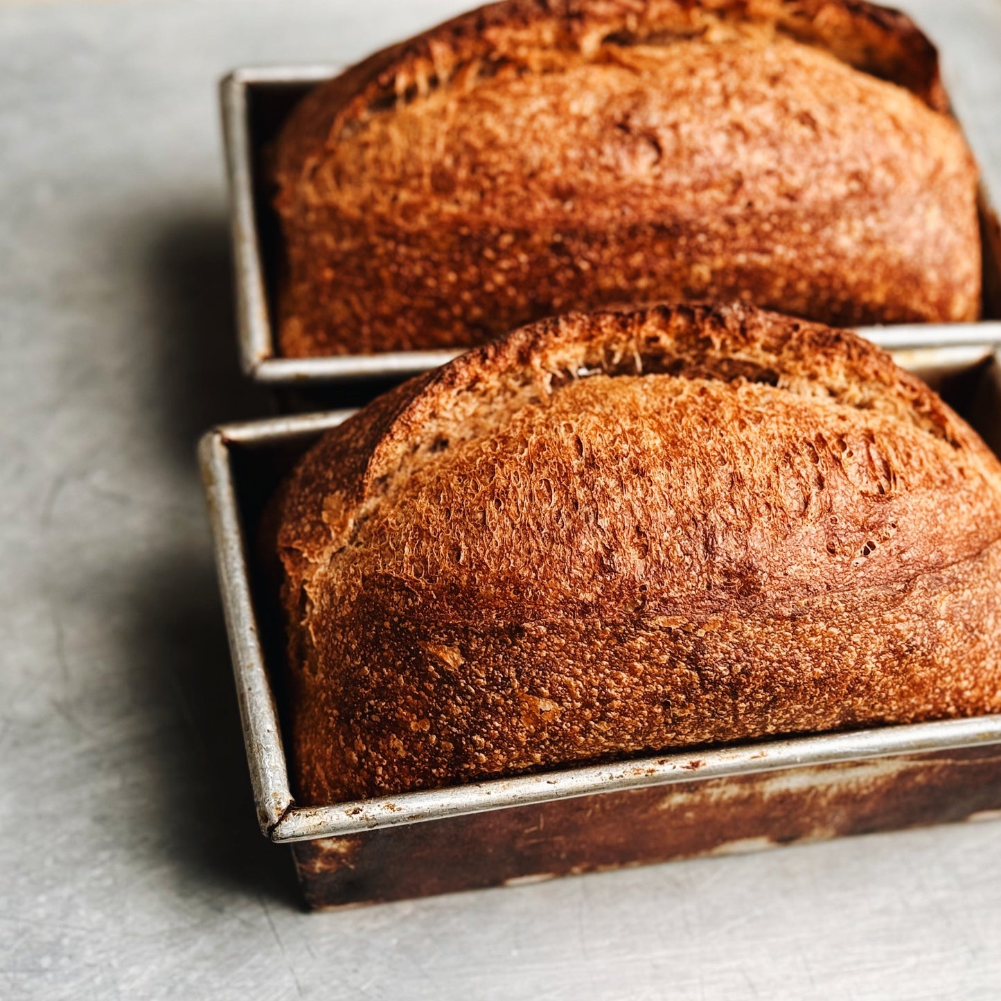 Sourdough Pan Loaf