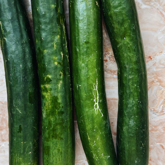 UBC Farm Organic English Cucumber 1 Pack