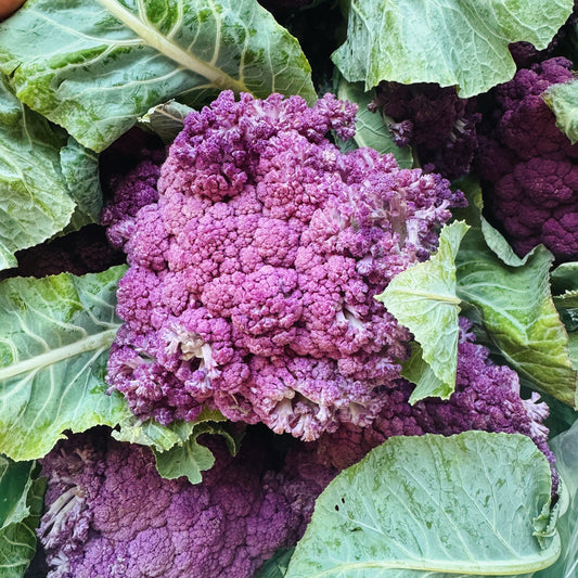 Athiana Acres Purple Cauliflower
