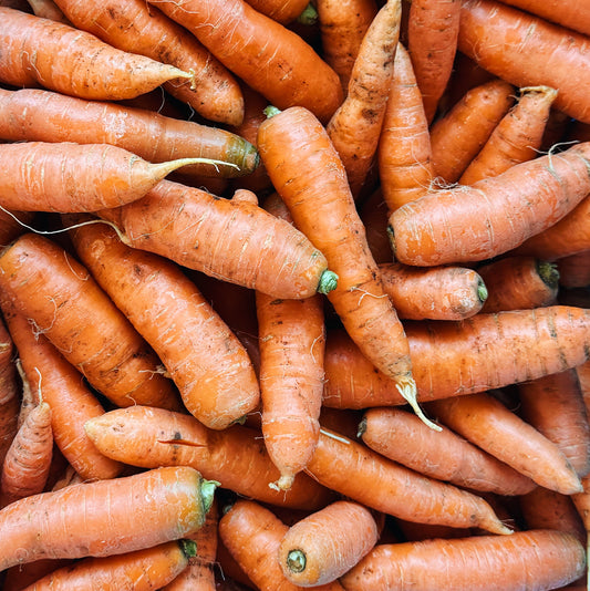 UBC Farm Organic BC Grown Carrots