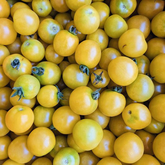 Athiana Acres BC Grown Yellow Cherry Tomatoes