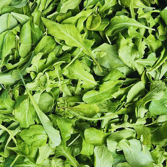 UBC Farm Organic Arugula