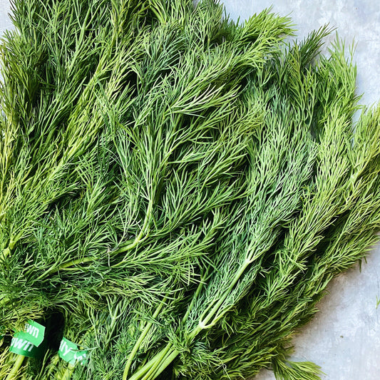 UBC Farm Organic Dill Bunch