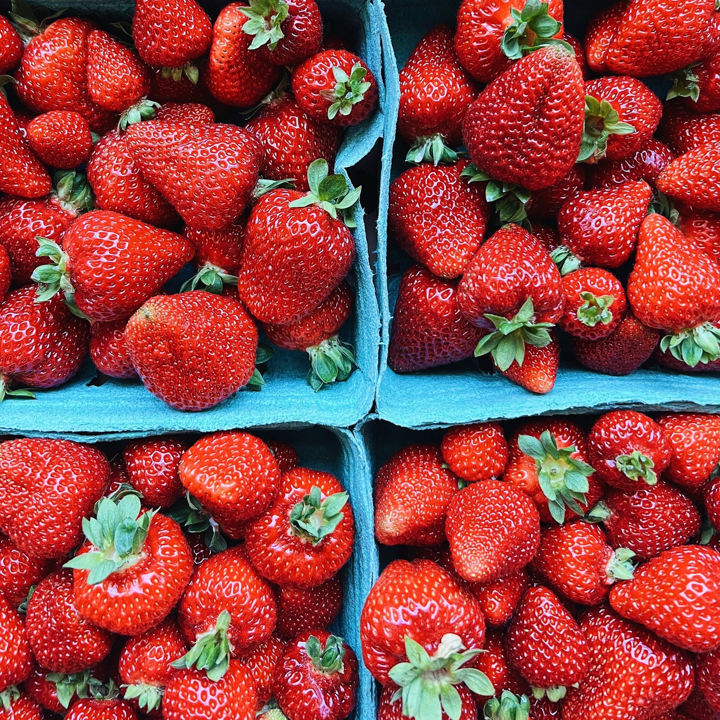 Premium BC Grown Strawberries