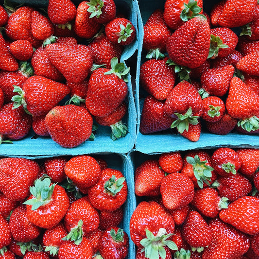 Premium BC Grown Strawberries