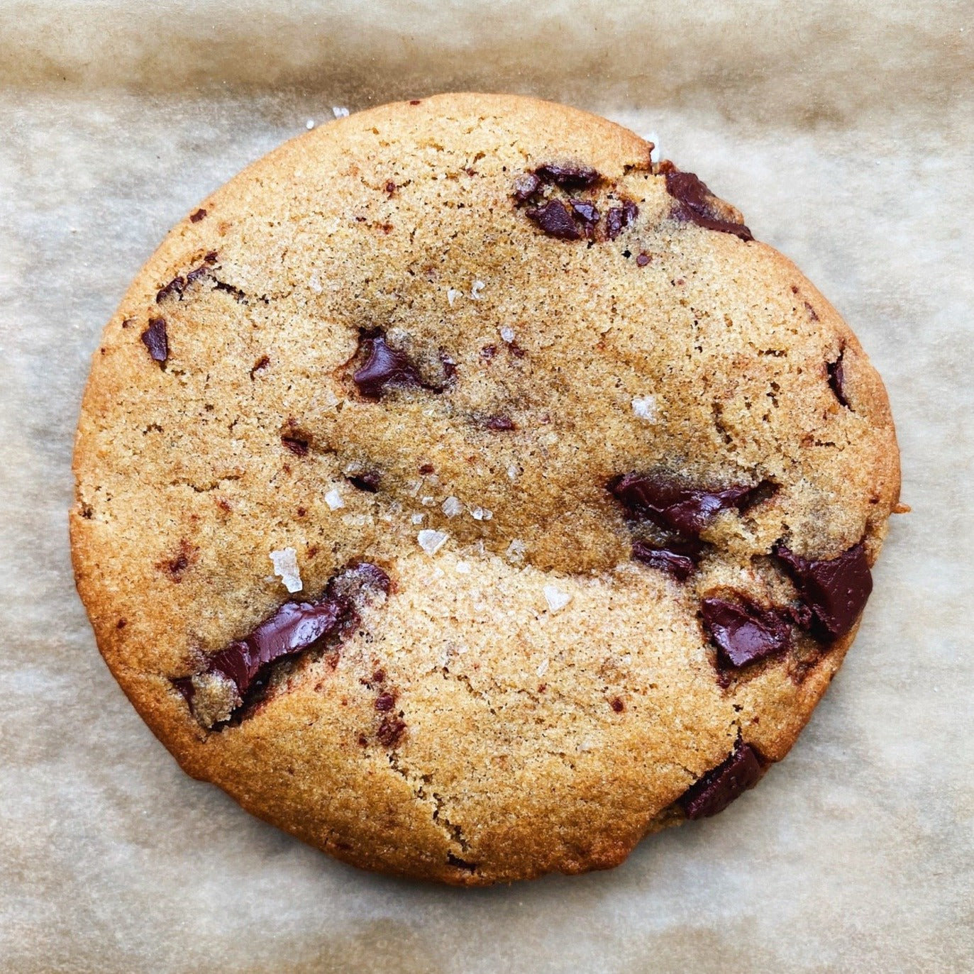 Organic Whole Grain Red Fife Flour