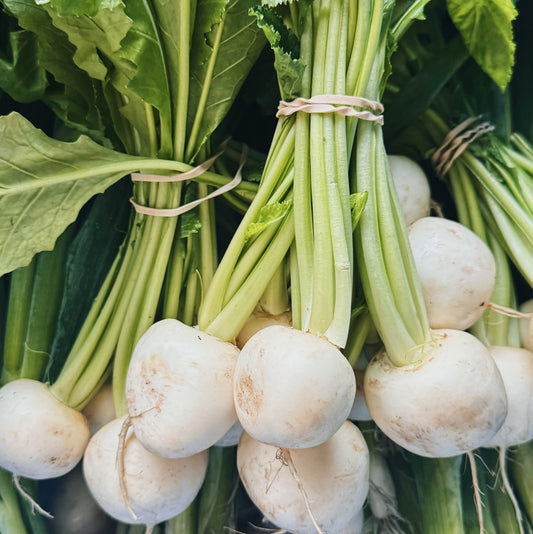 UBC Farm Organic Hakurei Turnips
