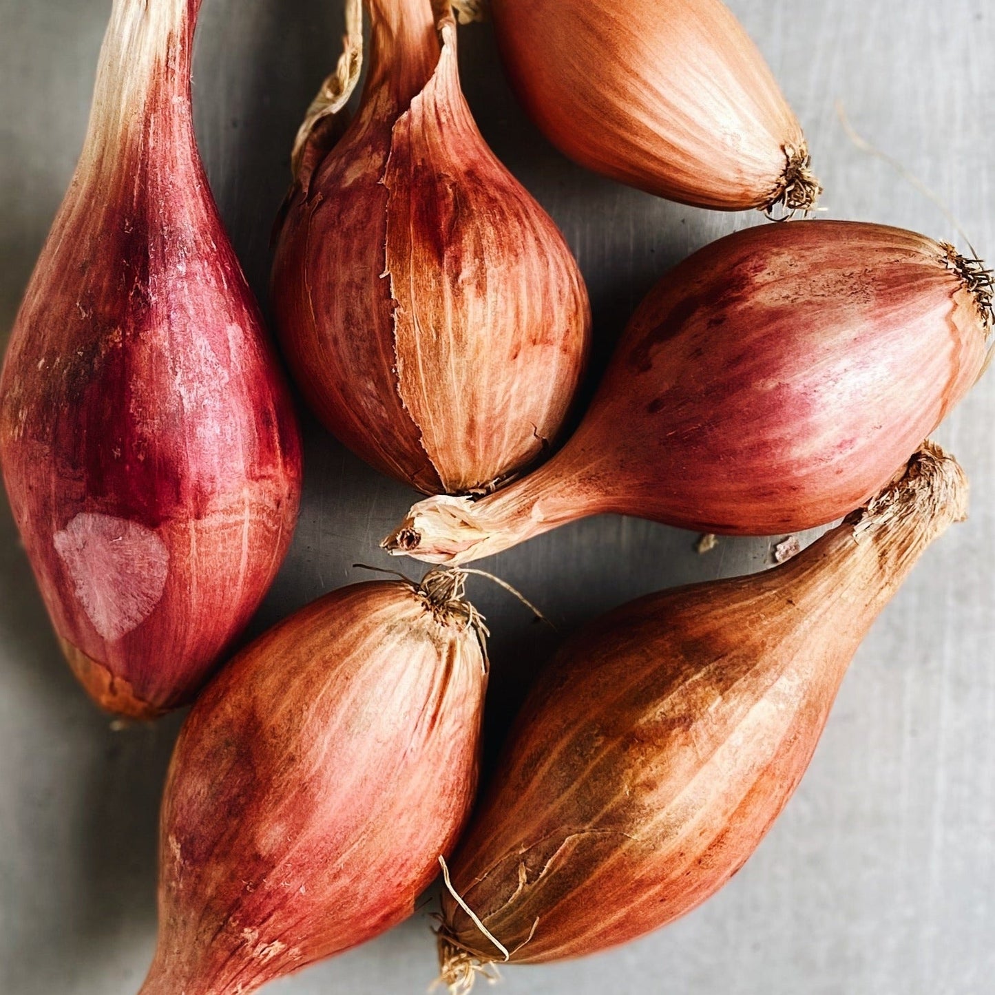 BC Grown Organic Shallots