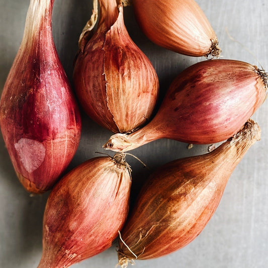 BC Grown Organic Shallots