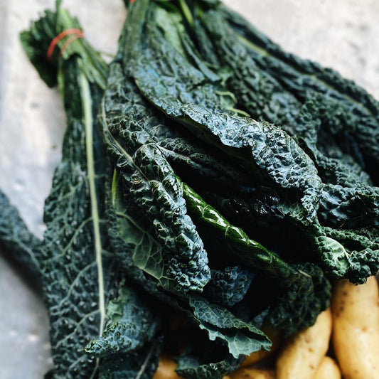 BC Lacinato Kale Bunch
